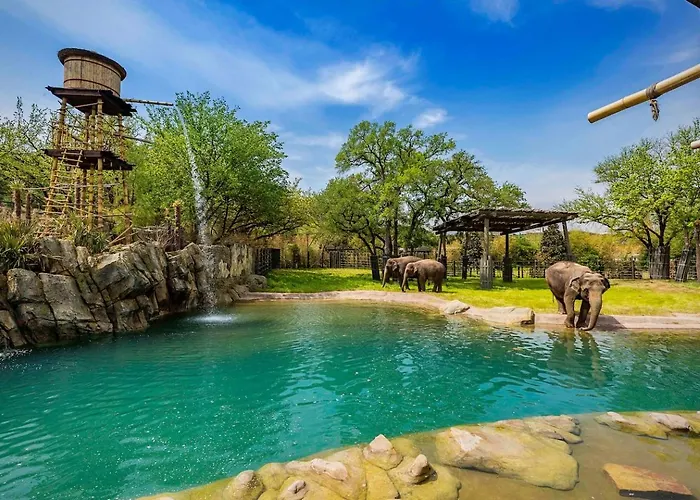Lakefront Oasis W/covered Patio + Outdoor Kitchen * Fort Worth